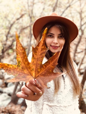 بهار بهاری